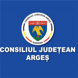 consiliu sponsor